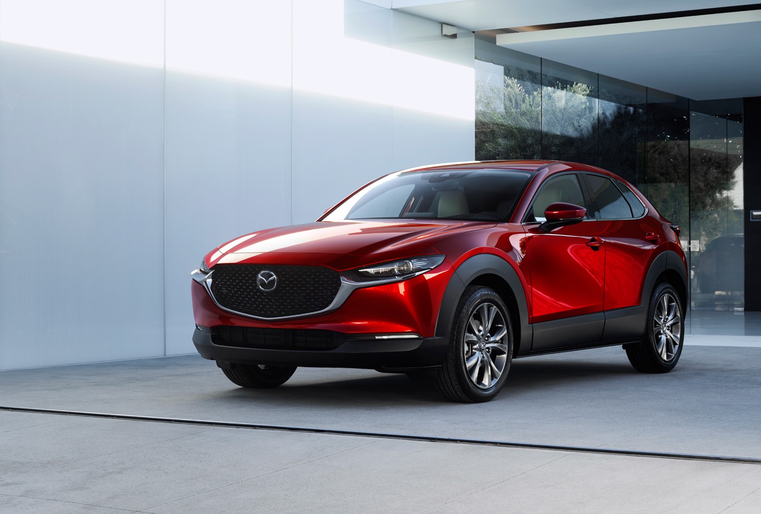 Mazda CX-30 .jpg (244 KB)